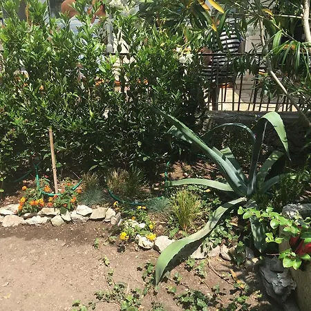 Colenda Pensionat Korčula