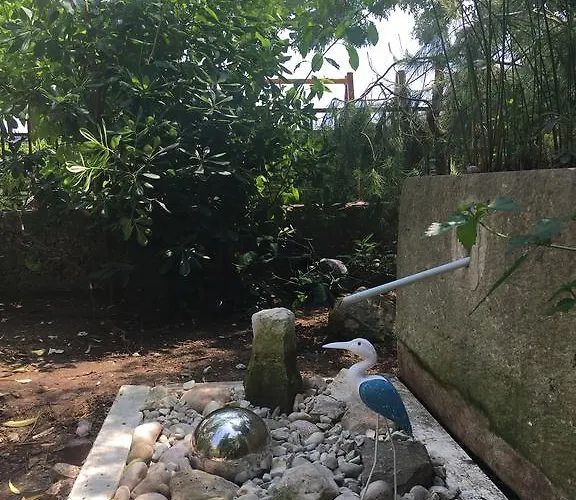 Guest house Colenda 2*